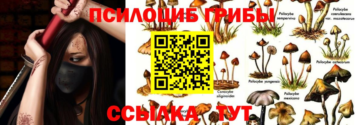 Галлюциногенные грибы Cubensis Саянск